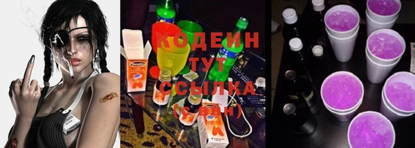 индика Белокуриха