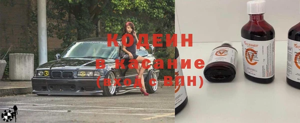 индика Белокуриха