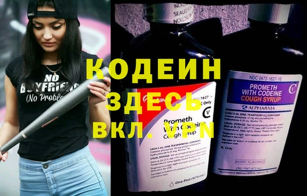 индика Белокуриха