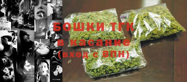 индика Белокуриха