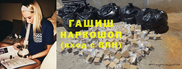 индика Белокуриха