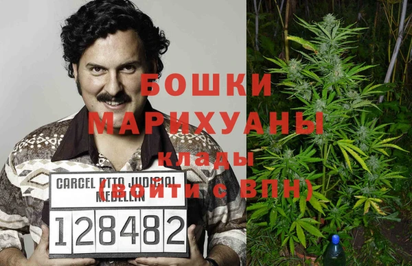 индика Белокуриха