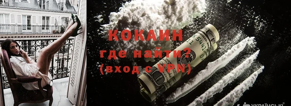 индика Белокуриха