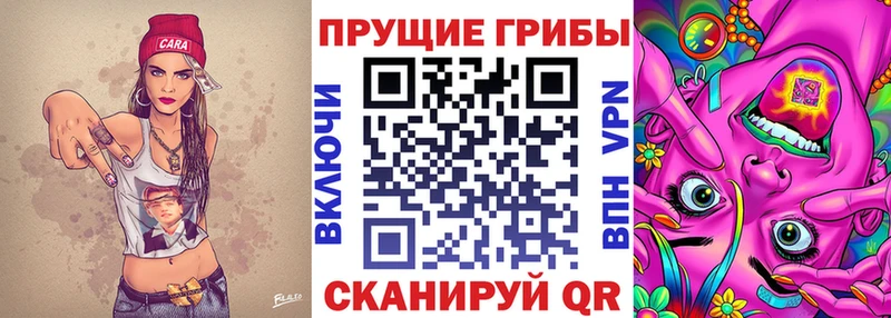 Псилоцибиновые грибы MAGIC MUSHROOMS Ахтырский